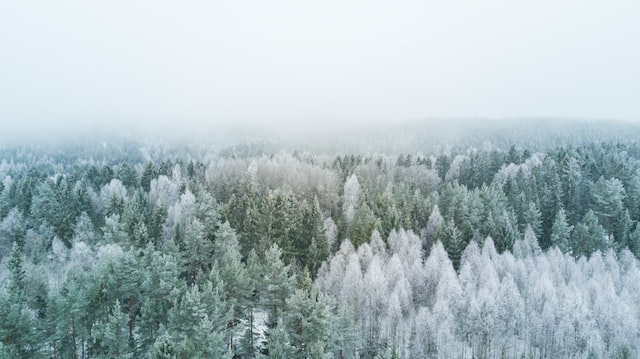 Baltā ainava Biały krajobraz (Zima)